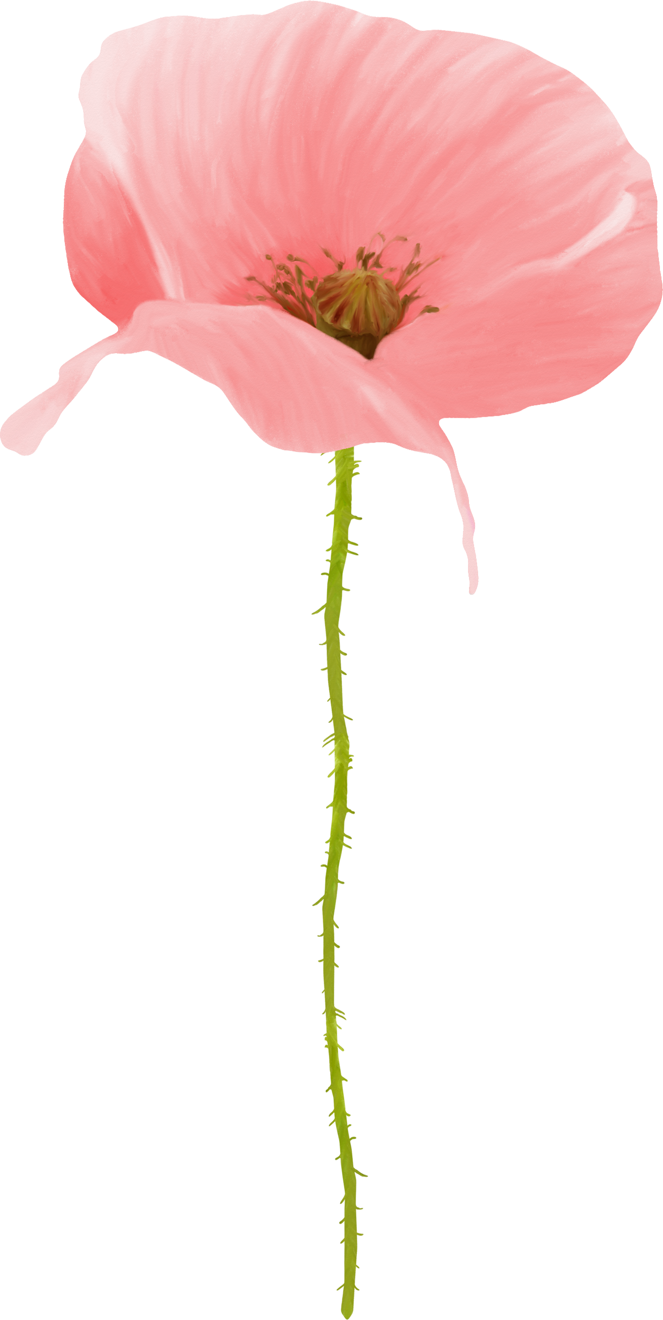 110