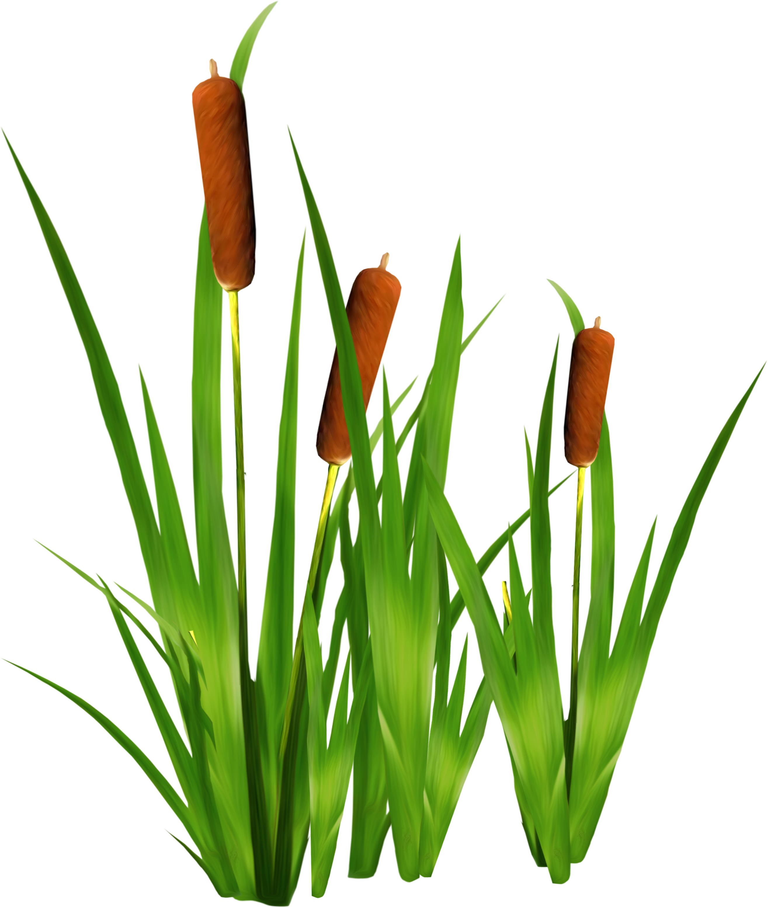Узор png клипарт Узор png клипарт