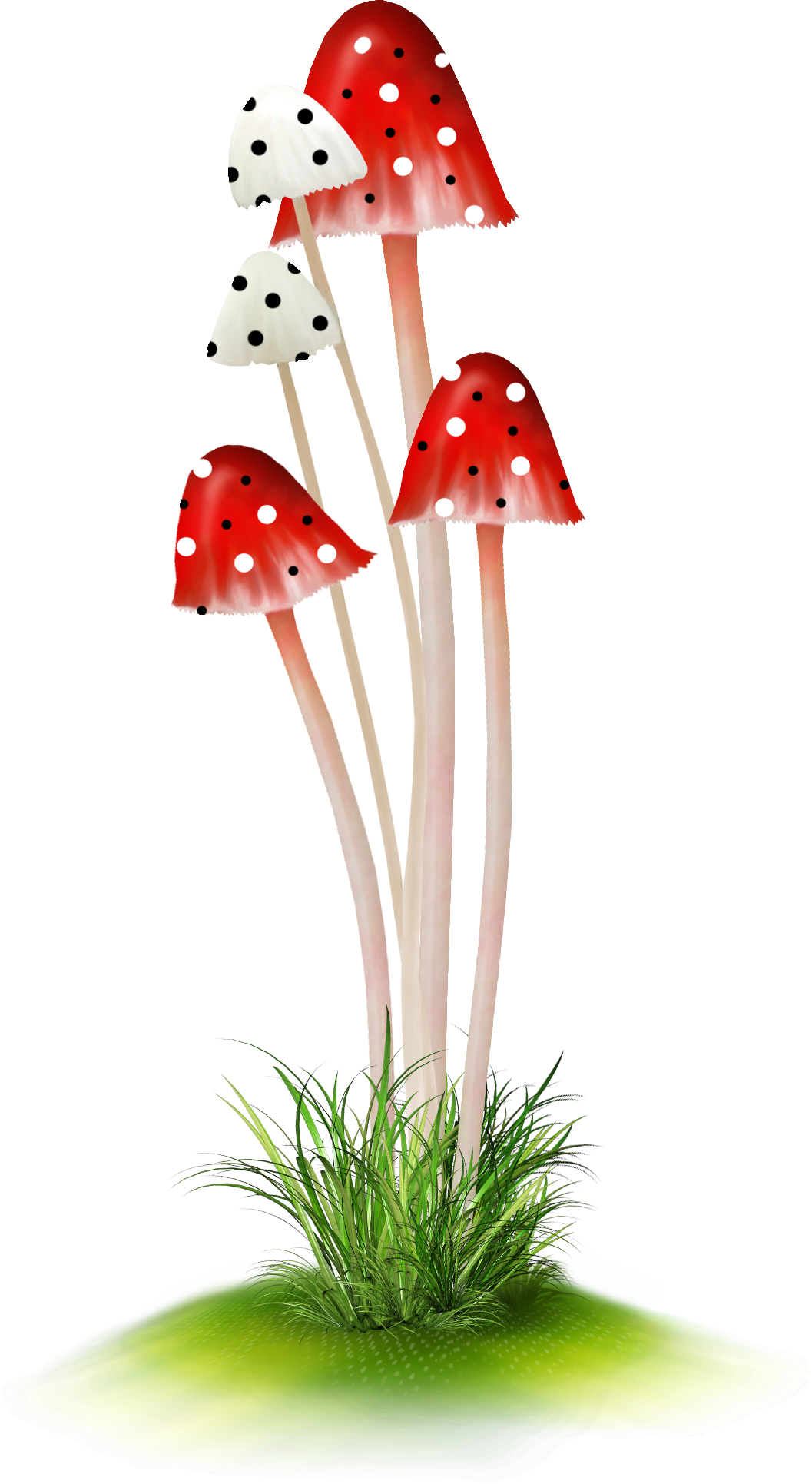 Мухомор рисунок пнг